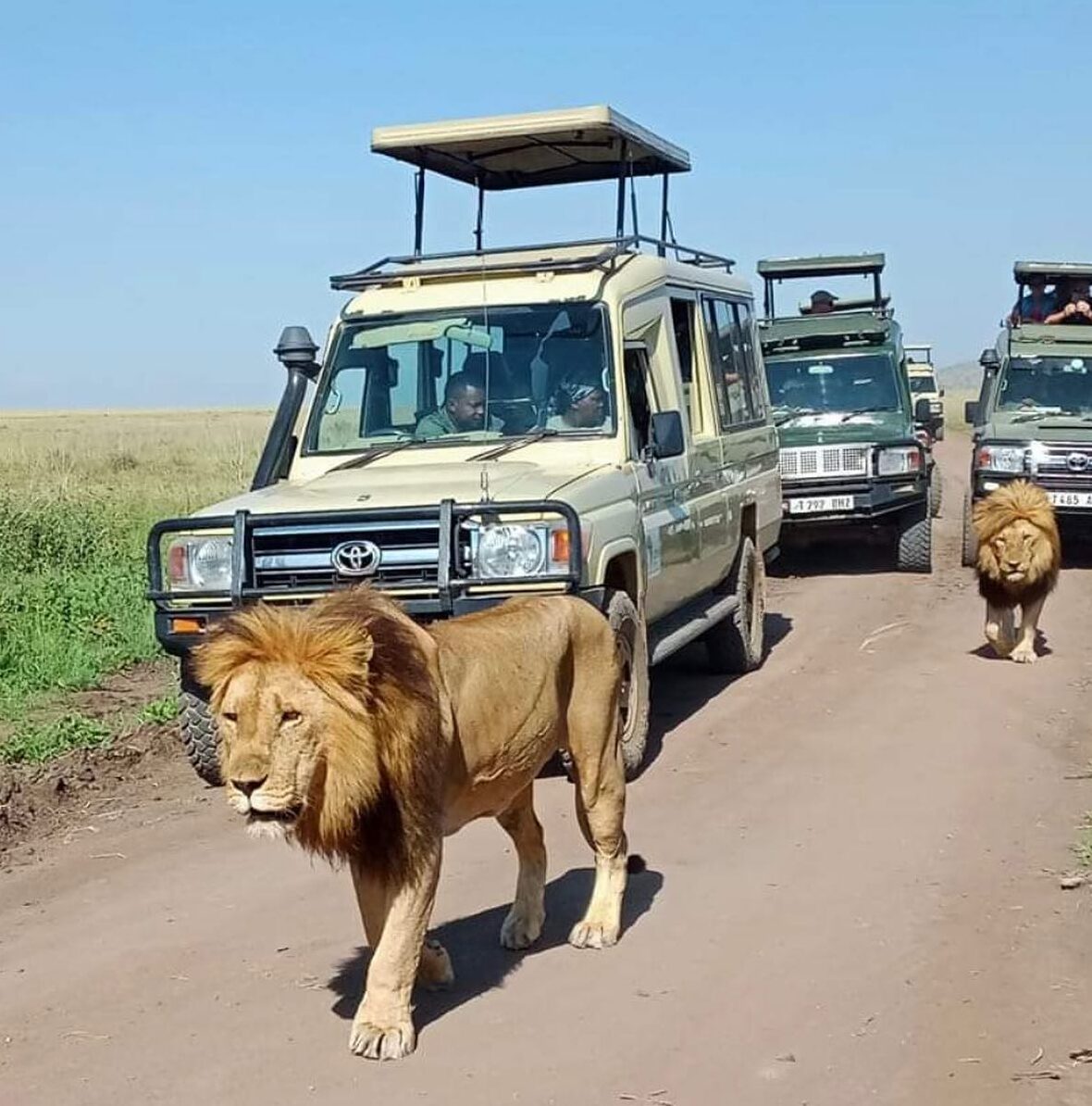 483583282_1143434771126780_6731443151276453679_n