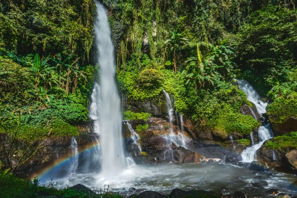 A mesmerizing waterfall cascading amidst vibrant green jungle with a faint rainbow appearing above the pool.